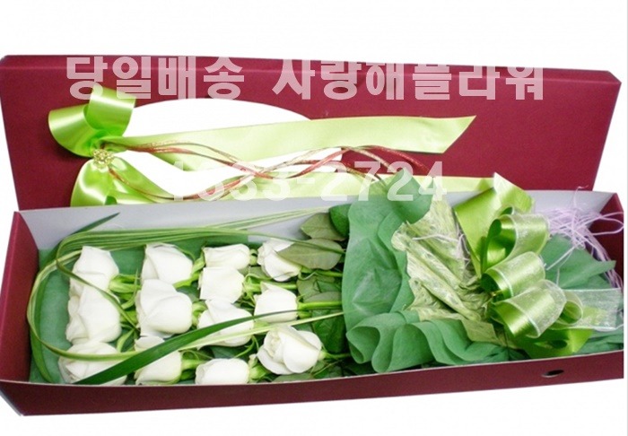 상세이미지