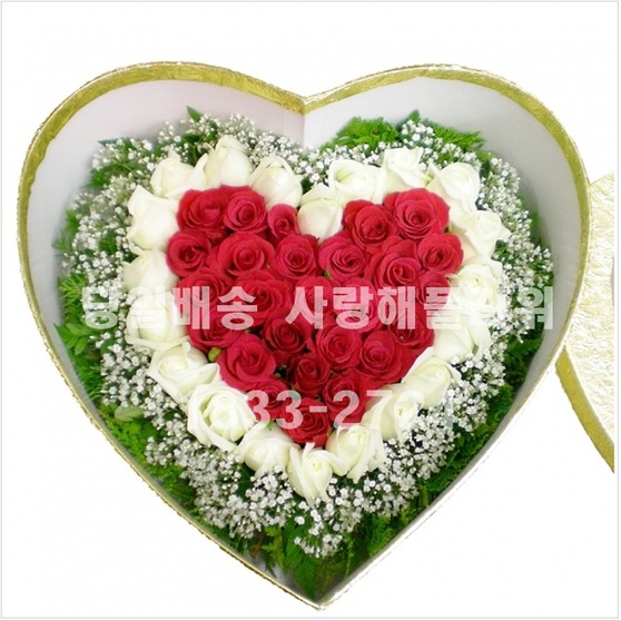 보고또보고