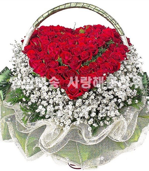 상세이미지