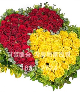 너와나의마음