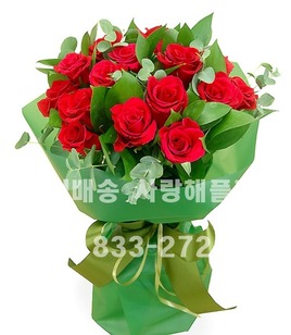 레드팡팡!