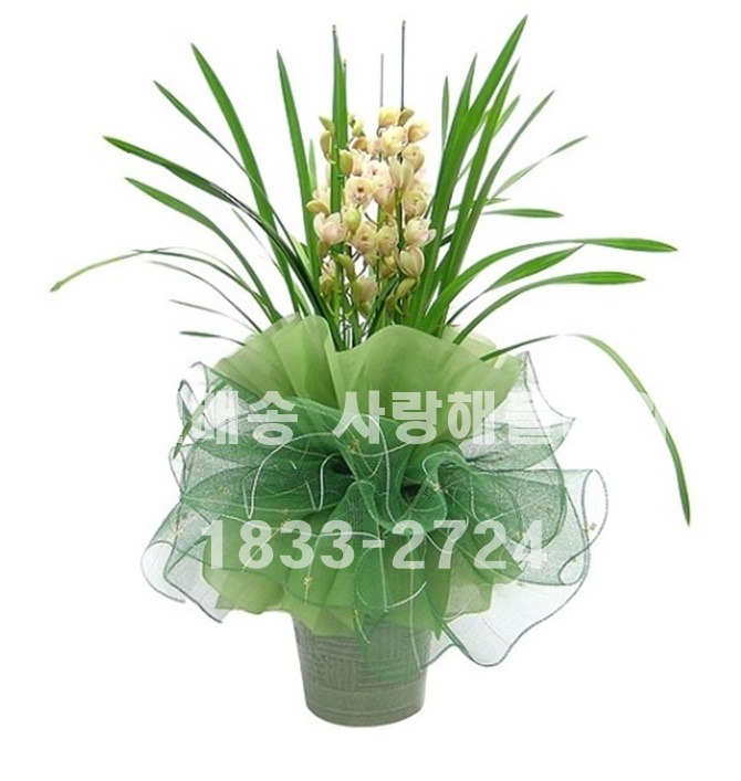 상세이미지