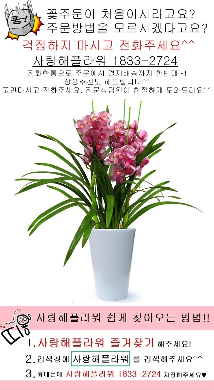 상세이미지