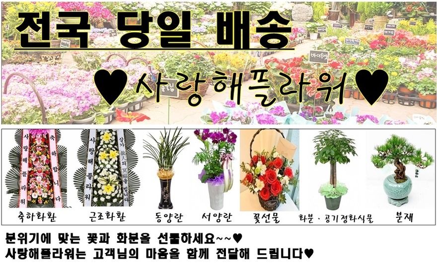 상세이미지