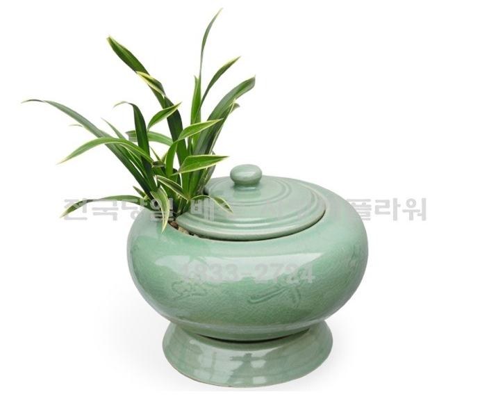 상세이미지