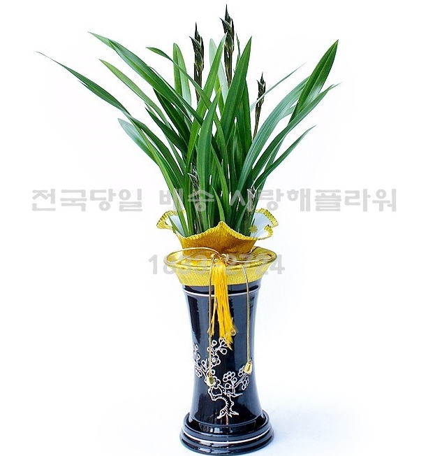 상세이미지
