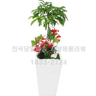 대박 만냥금