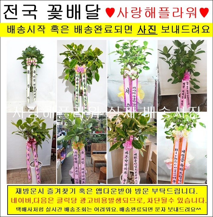 상세이미지