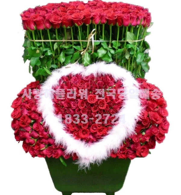 상세이미지