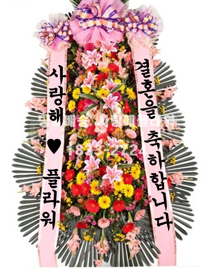 상세이미지