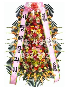 축하3단 YOU