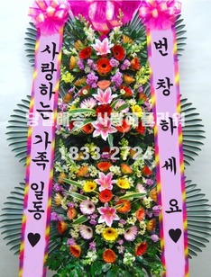 축하3단 VV