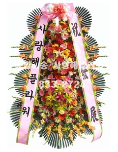 축하3단 SO