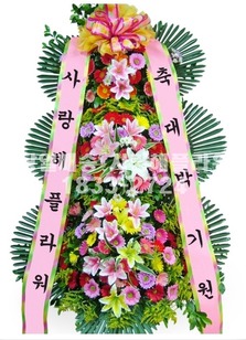 축하3단 224