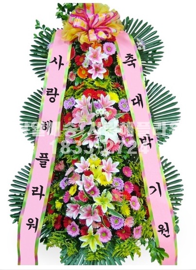 축하3단 224