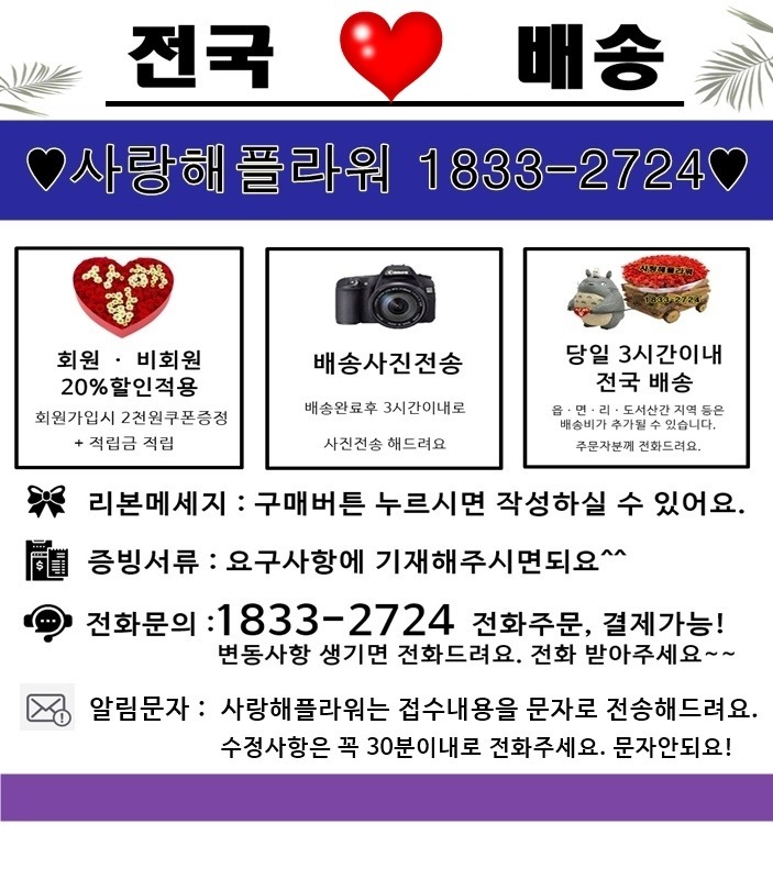 상세이미지