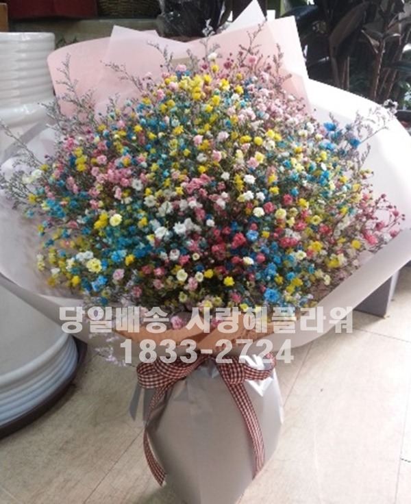상세이미지