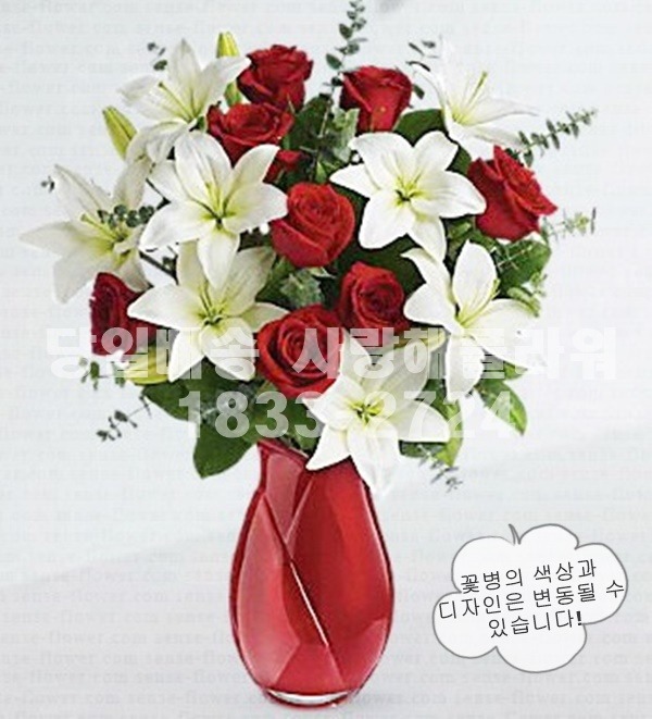 상세이미지