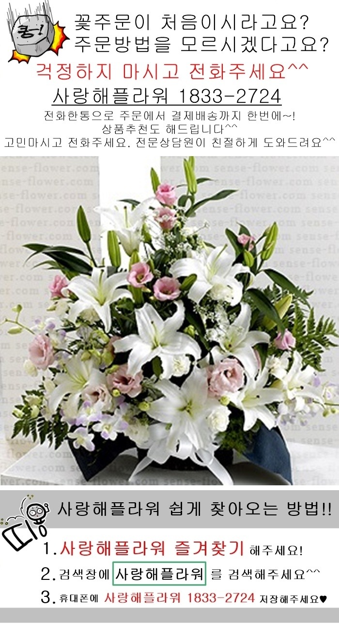 상세이미지