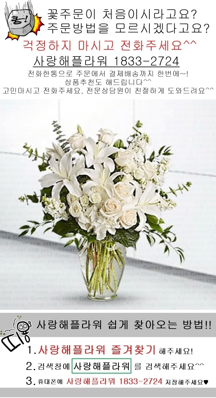 상세이미지