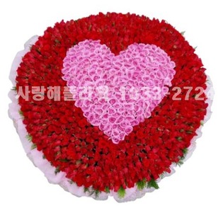 천송이★가격문의★일주일전 예약!