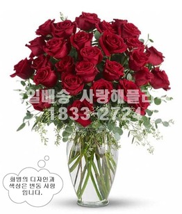 장미화병 QQ