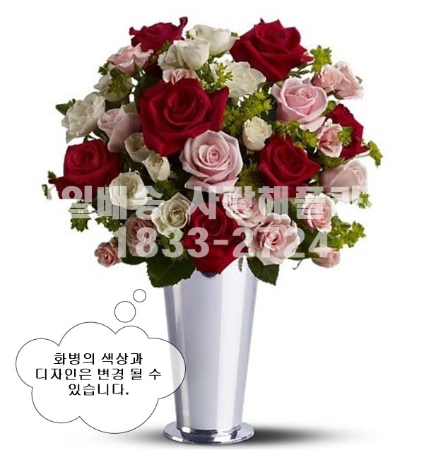상세이미지