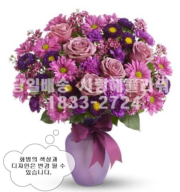 상세이미지