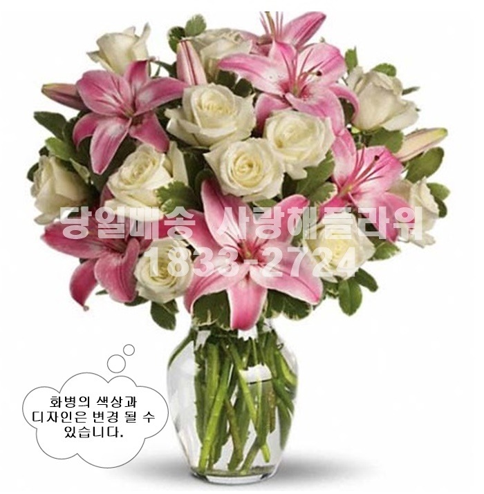 상세이미지
