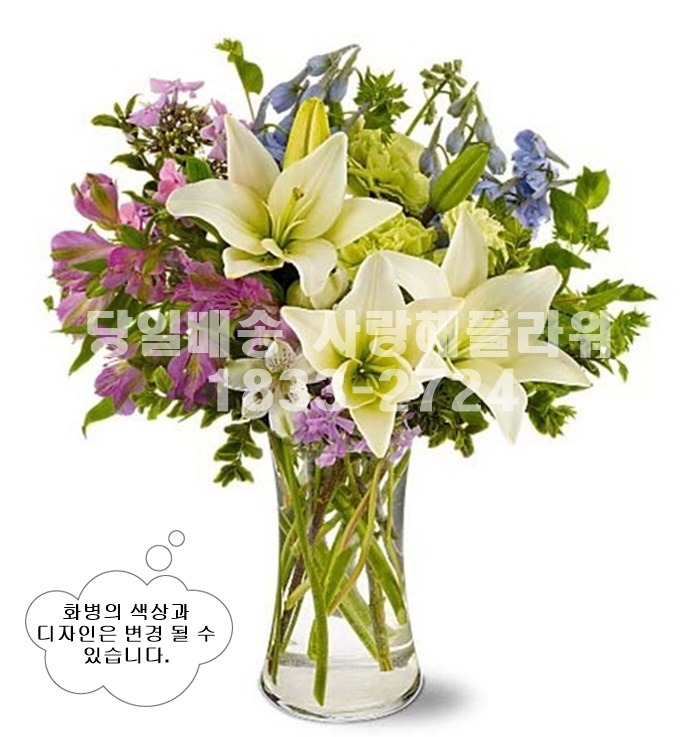 상세이미지