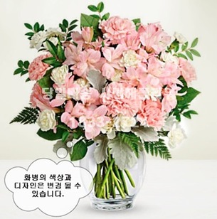 핑크홀릭 화병