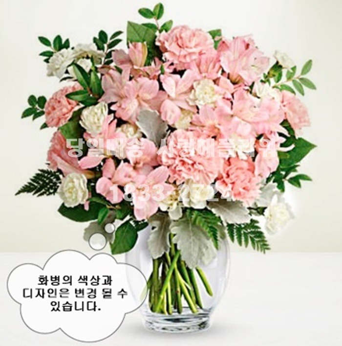 상세이미지