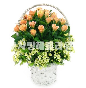 상큼오렌지