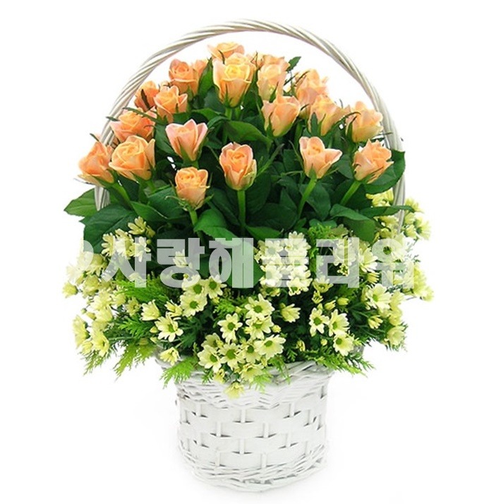 상세이미지