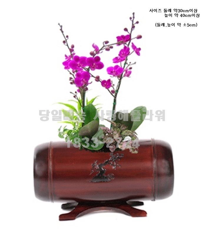 상세이미지
