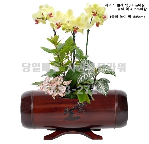 상세이미지