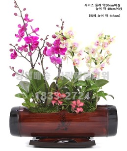 대나무 옻칠-금의환향