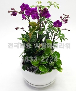 3.대박기원 만천홍