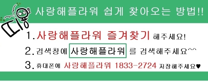 상세이미지