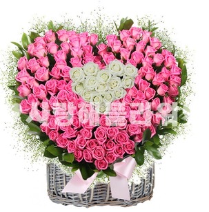꽃행복 222호(100송이)