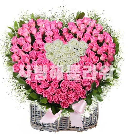 꽃행복 222호(100송이)