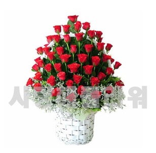 높은사랑 100송이