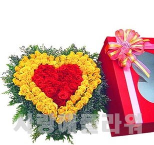 태양속으로 100송이