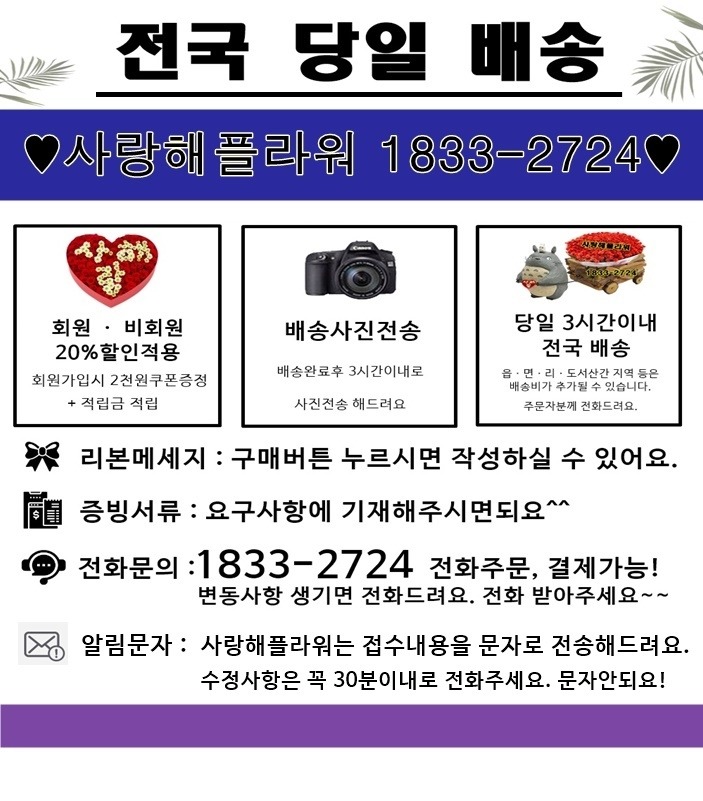 상세이미지