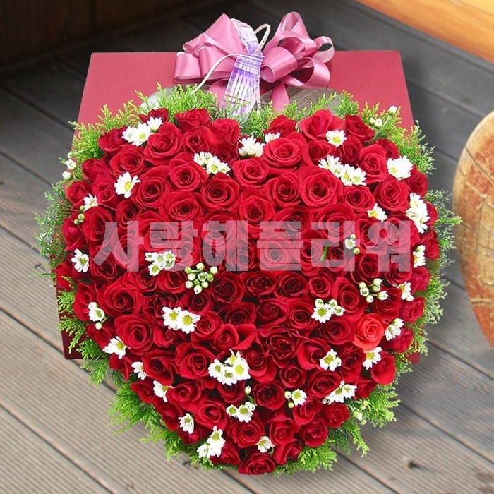 상세이미지