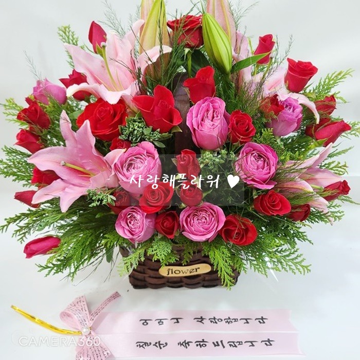 상세이미지
