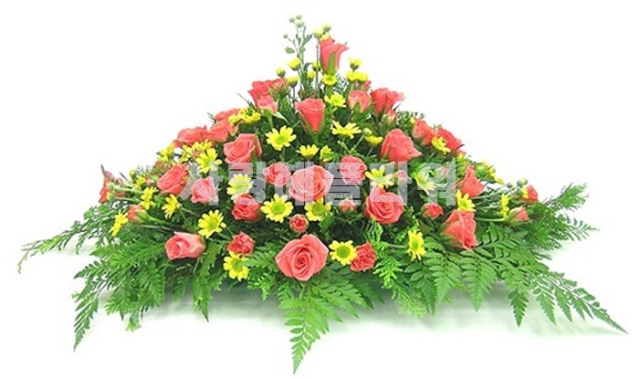 상세이미지