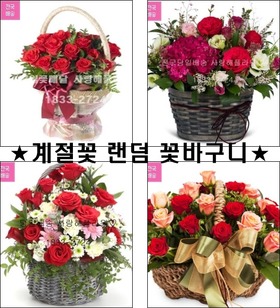 초특가★빨간장미 혼합꽃바구니★