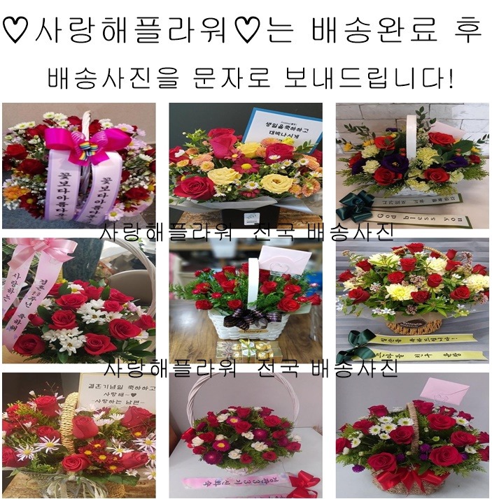 상세이미지