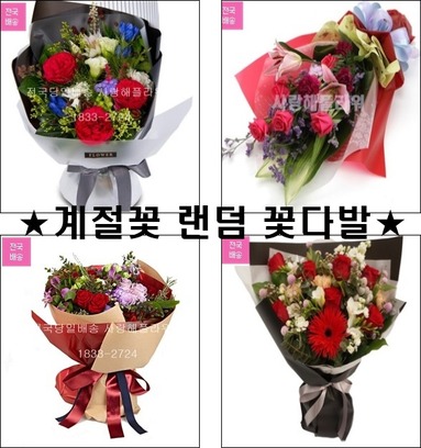 초특가★빨간장미 혼합꽃다발★